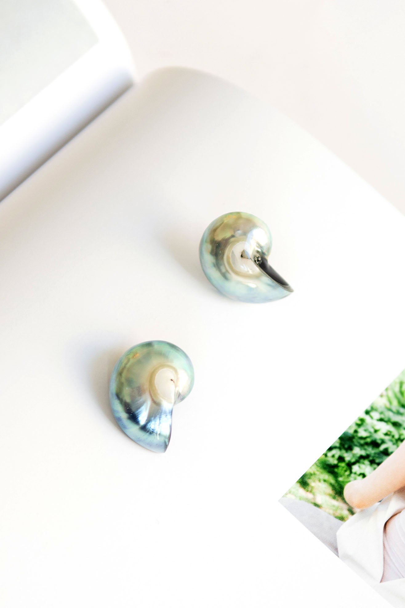 ISSHI, Molluska Earrings, Blue Sheen