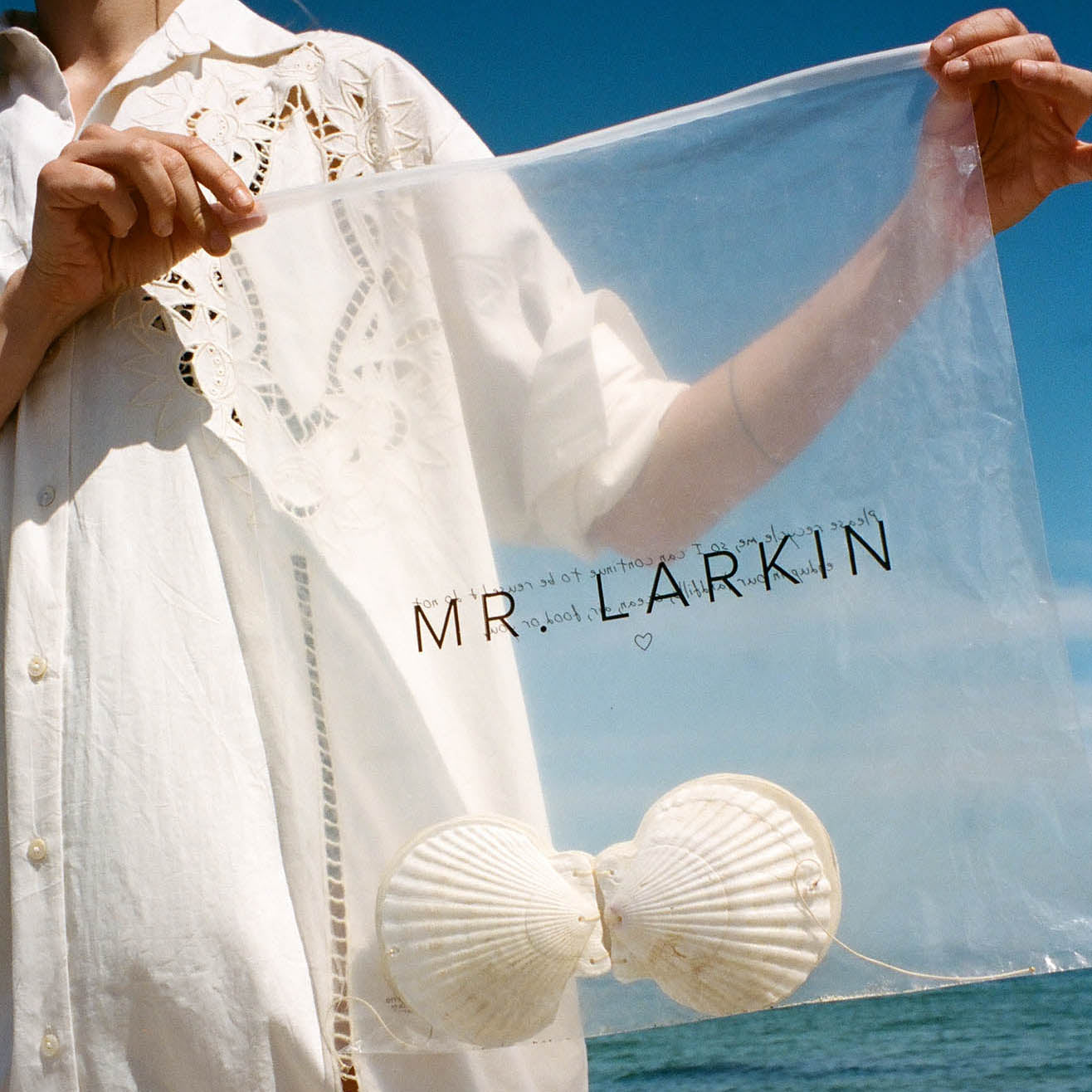 Women's Designer Skirts | Mr. Larkin