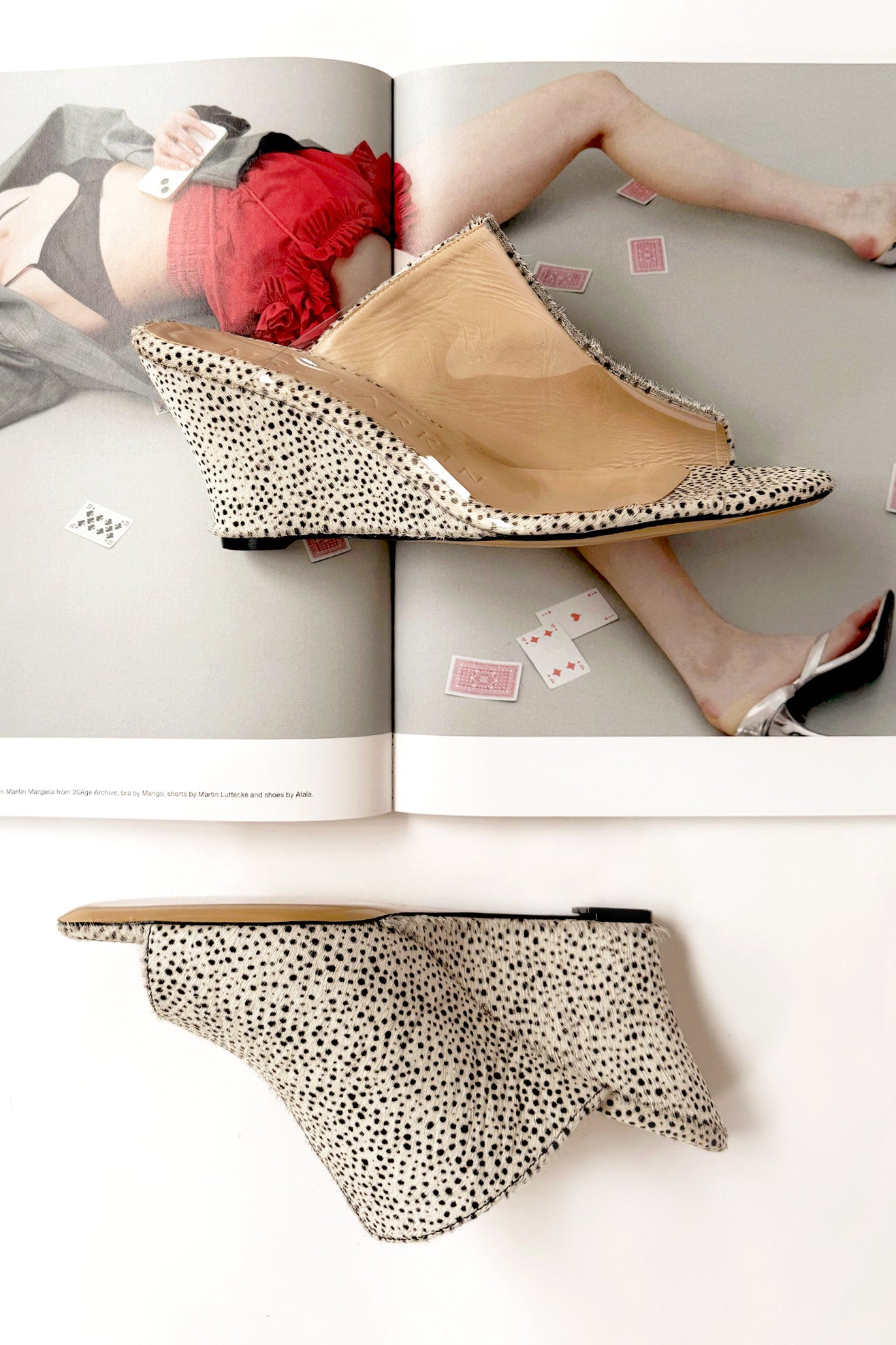 MR. LARKIN, Elliott Wedge, Ponyhair Tiny Cheetah