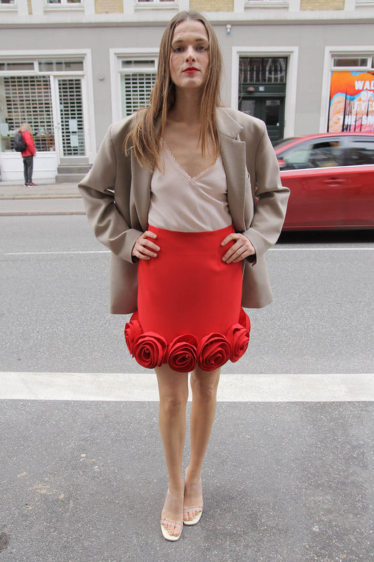 MR. LARKIN, Babette Skirt, Rose