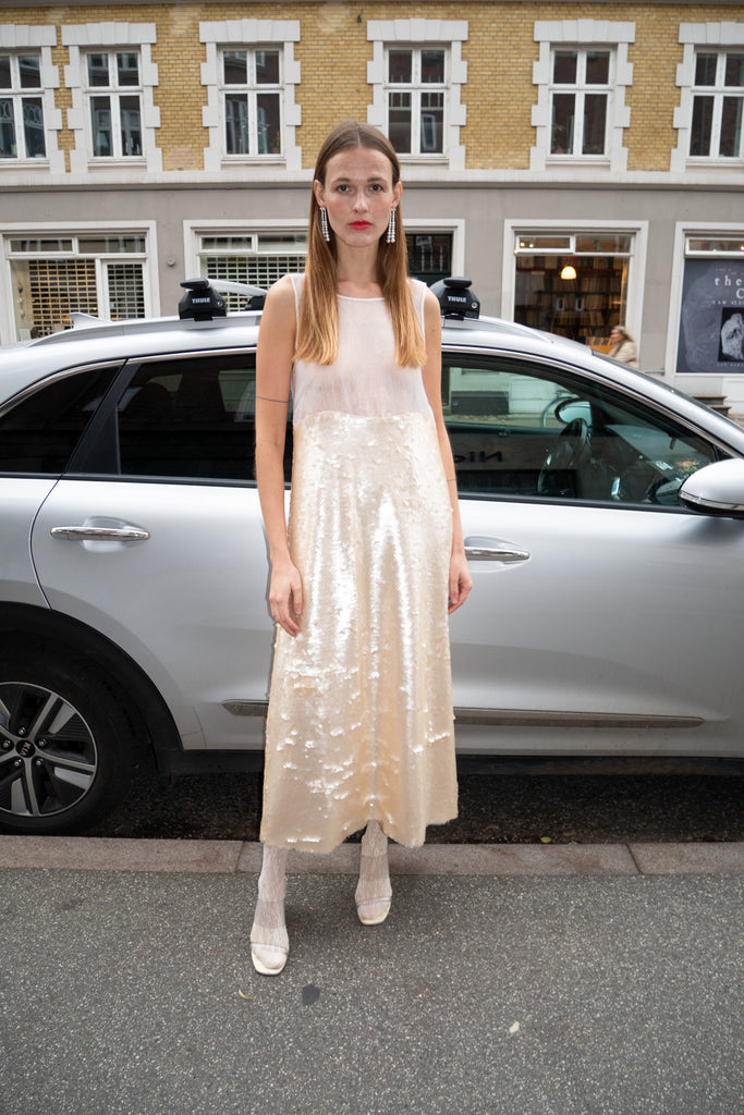 MR. LARKIN, Lilah Sequin Dress, Champagne