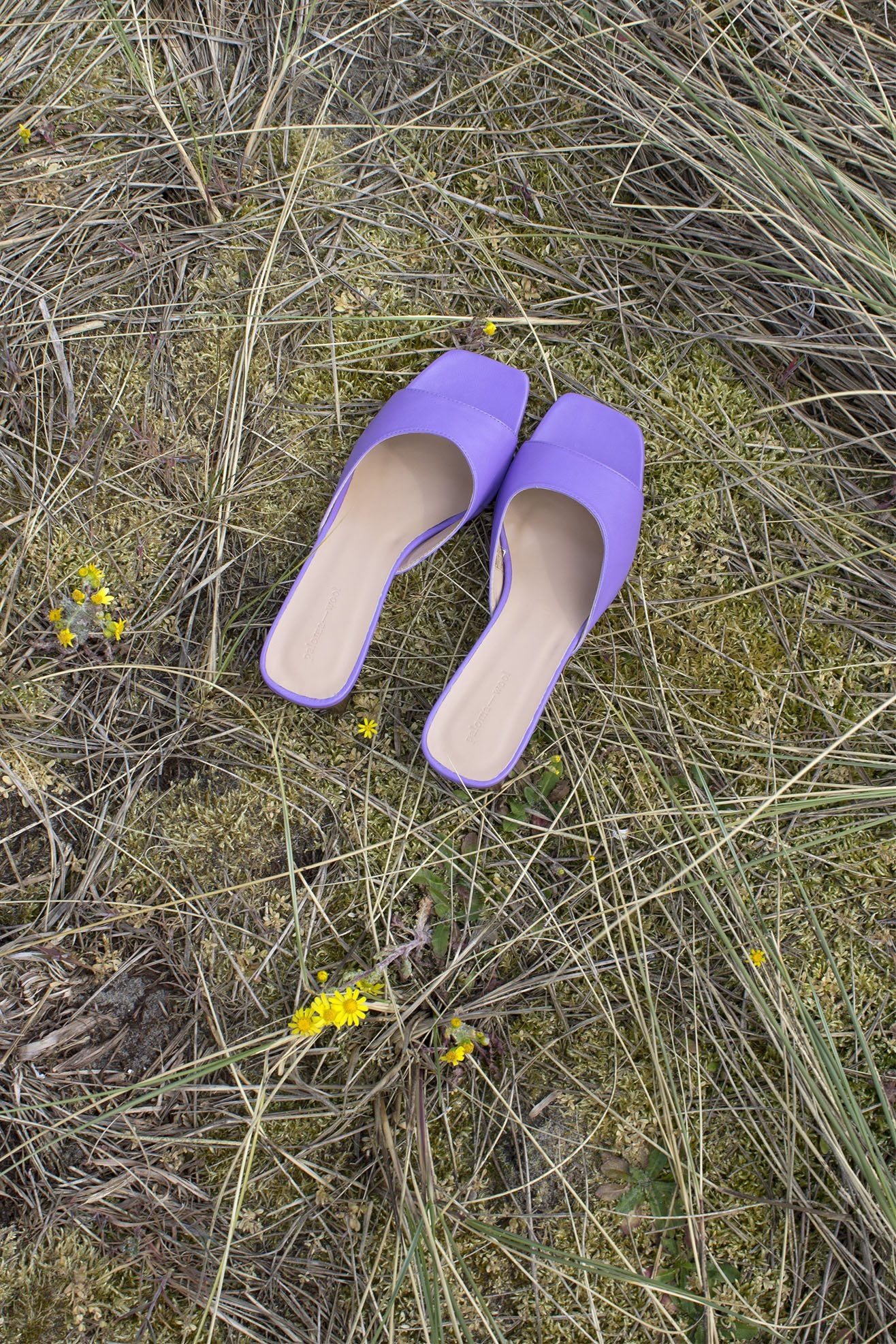 PALOMA WOOL, Galatea, Purple, Top